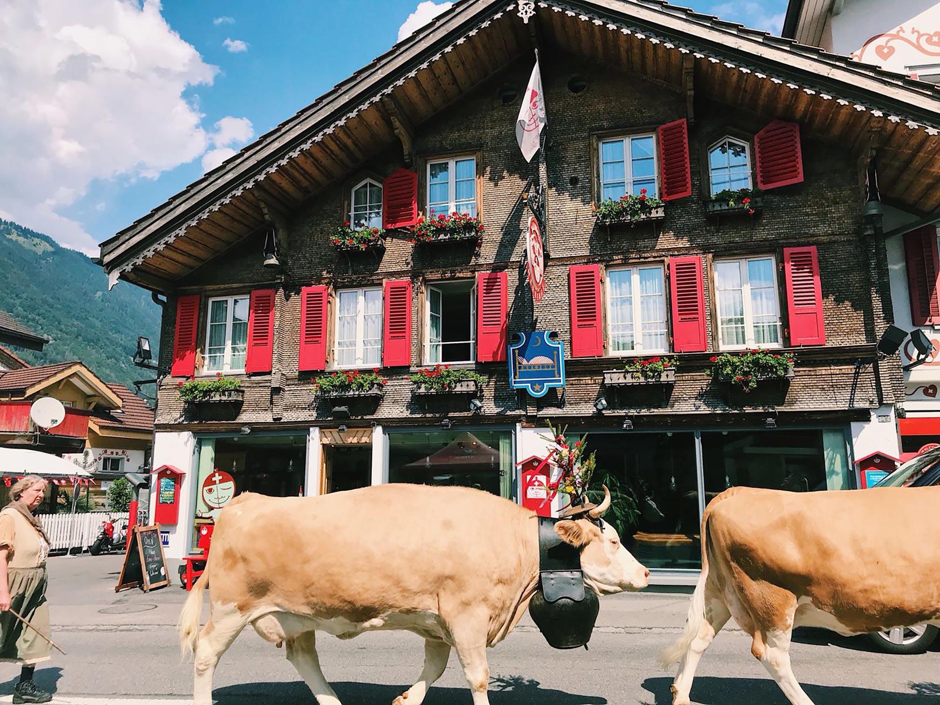 Accommodation in Interlaken